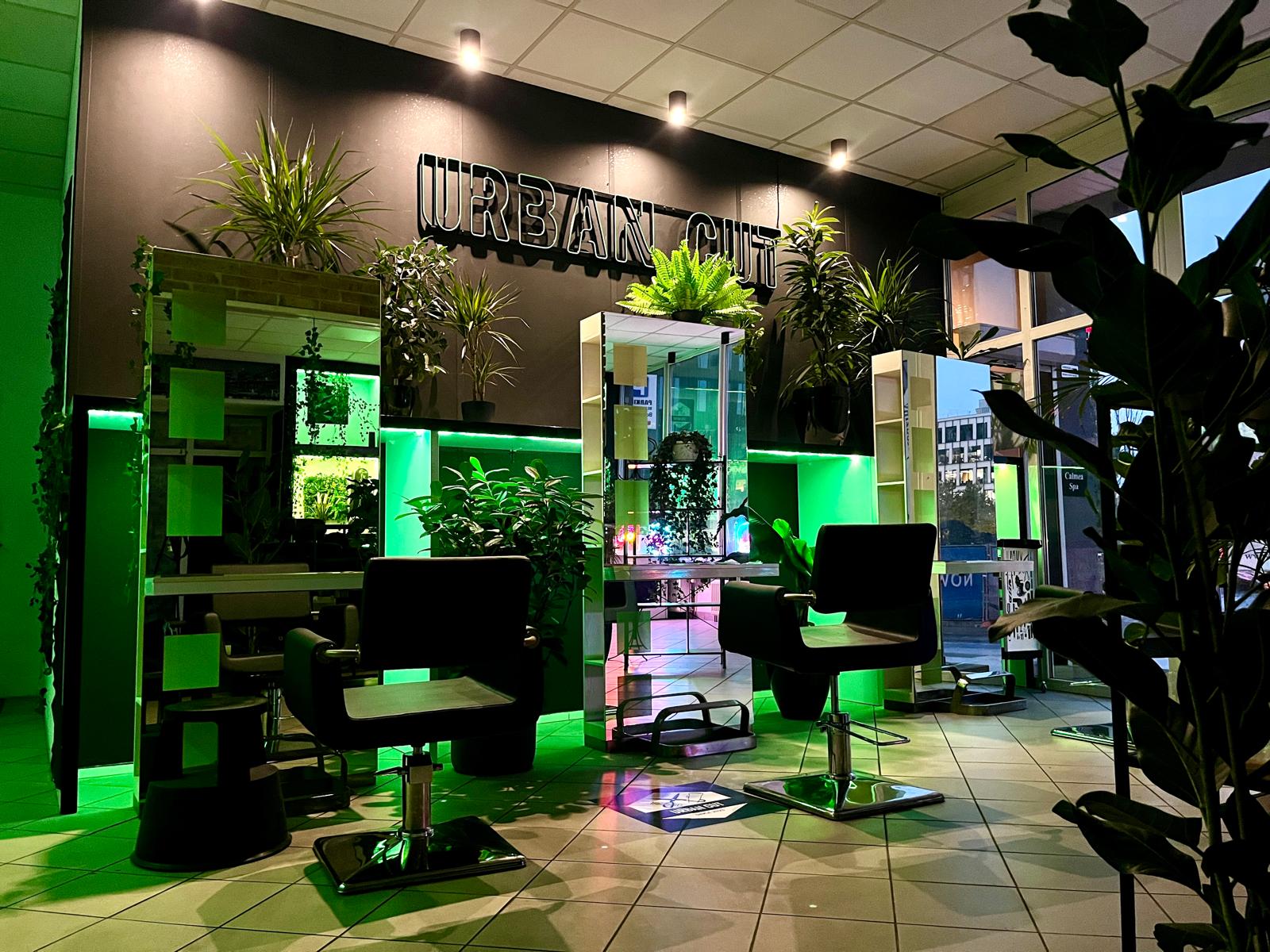 43ef6013-c31f-46f5-b1bd-235ffc6bae39